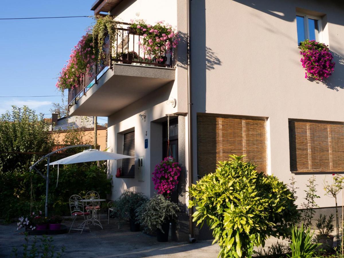 Apartment Dubovac *
