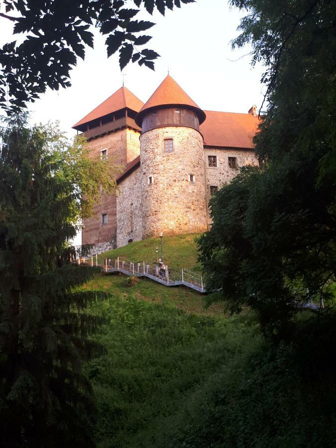 Apartment Dubovac *
