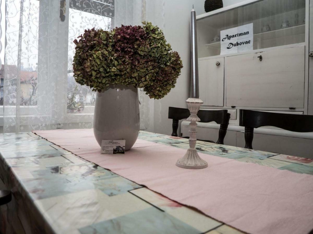 Apartment Dubovac Karlovac